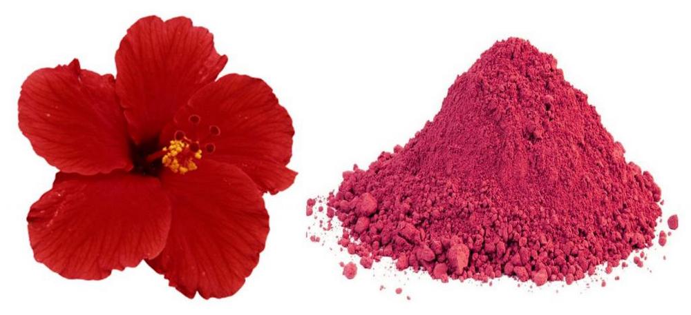 Hibiscus - what is it and what is it eaten with?